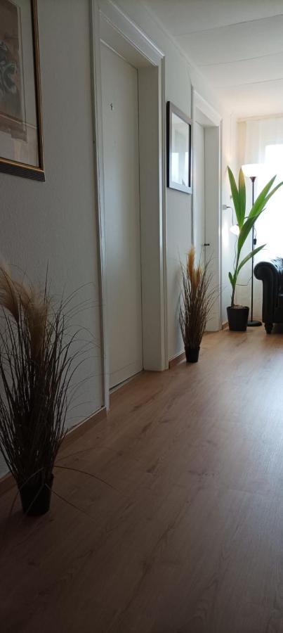 Ntn House Bed & Breakfast St. Gallen Ngoại thất bức ảnh